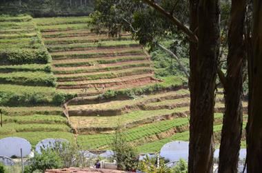 Nilgiri-Blue-Mountain-Train,  Coonoor - Ooty_DSC5512_H600